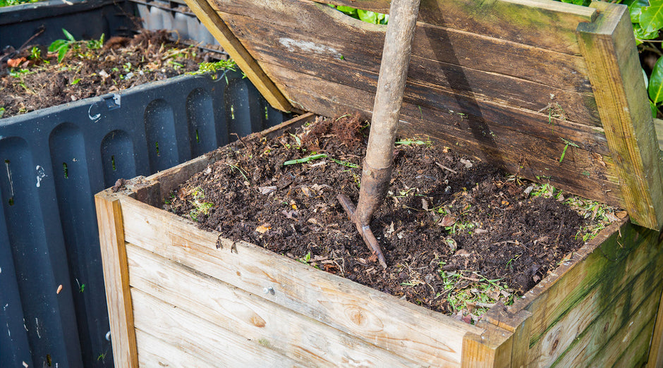 In The Heap: The Insects That Make Your Compost Bin Shine