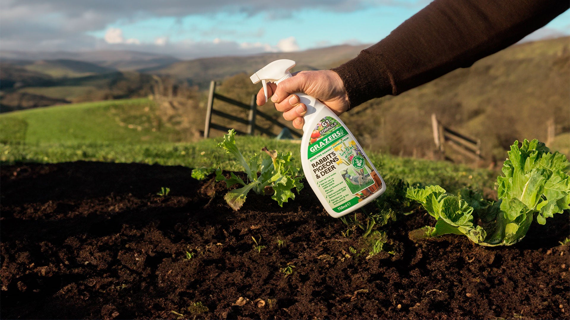 Man spraying Grazers over veg patch