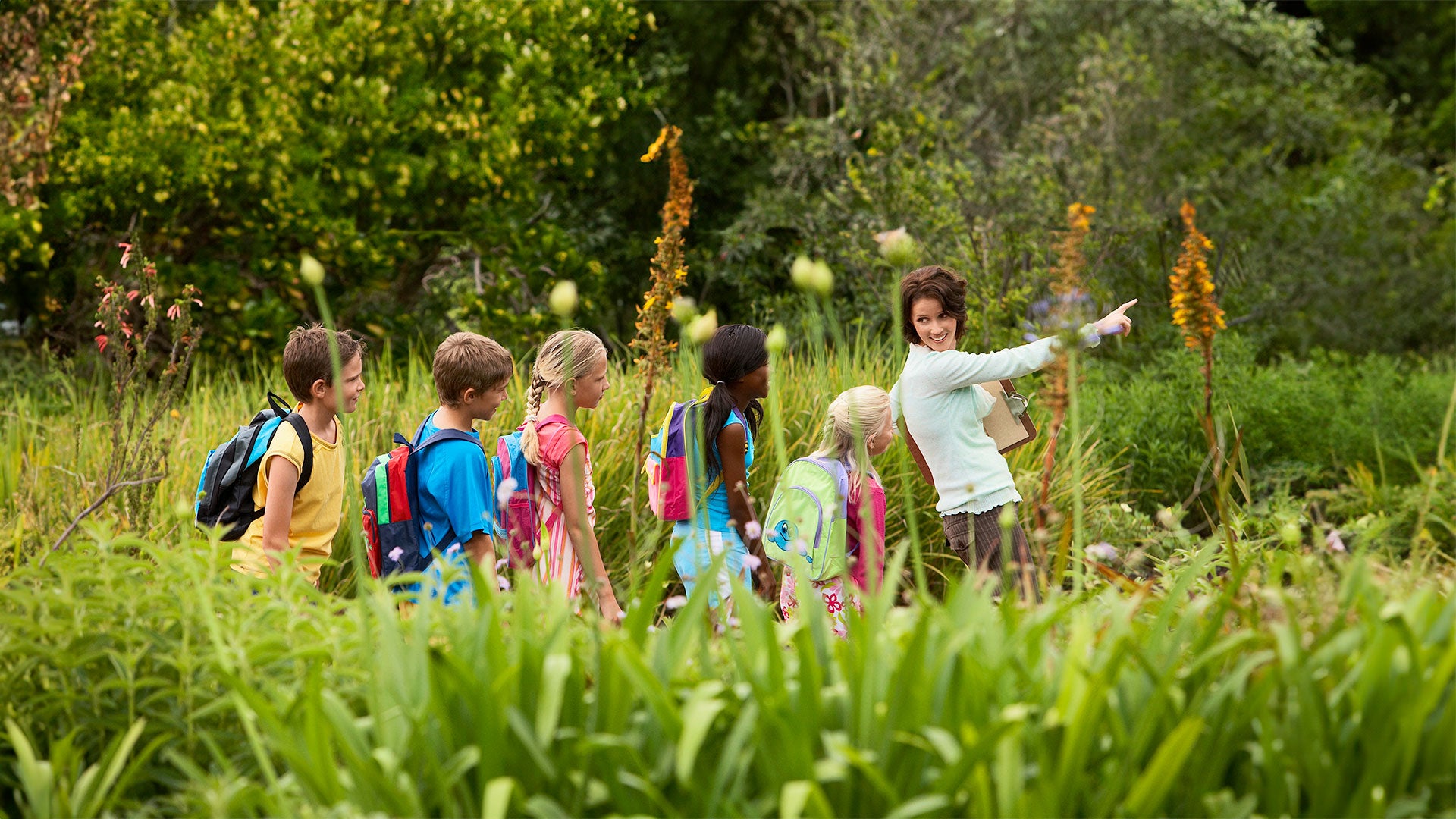 Children on a nature walk