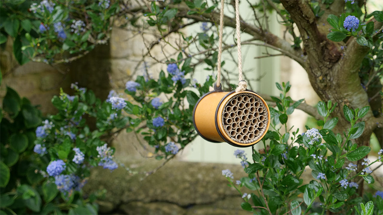Hanging bee tube in a tree with purple flowers