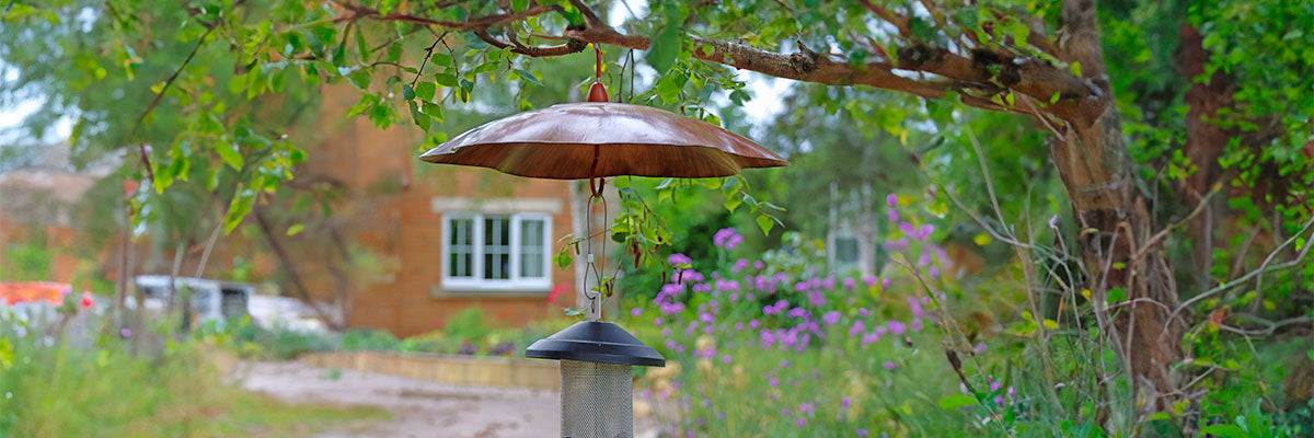 Hanging Squirrel Baffle & Bird Feeder