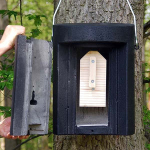Schwegler 1FW Bat Hibernation Box; Inside a Schwegler 1FW Bat Hibernation Box; Inside a Schwegler 1FW Bat Hibernation Box; Schwegler 1FW Bat Hibernation Box