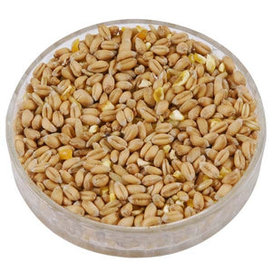 Ark Cereal Mix for ducks chickens and geese; Pheasant eating Ark Cereal Mix