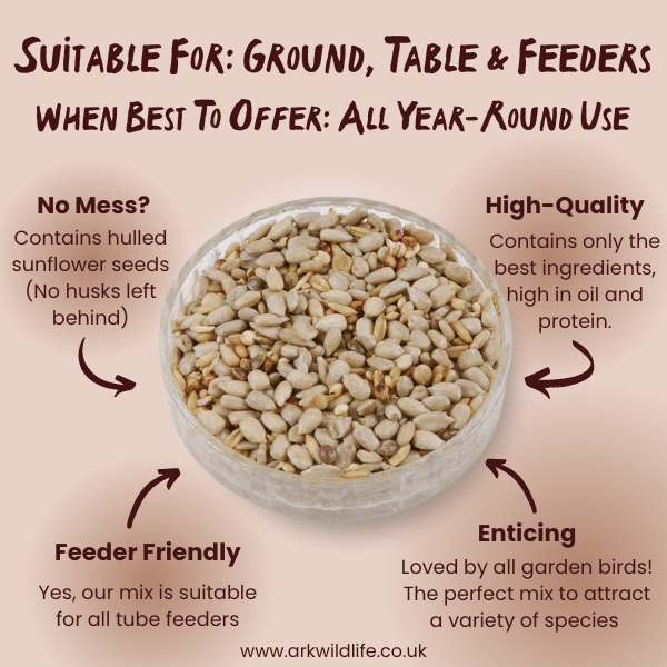 why buy ark no mess feeder mix