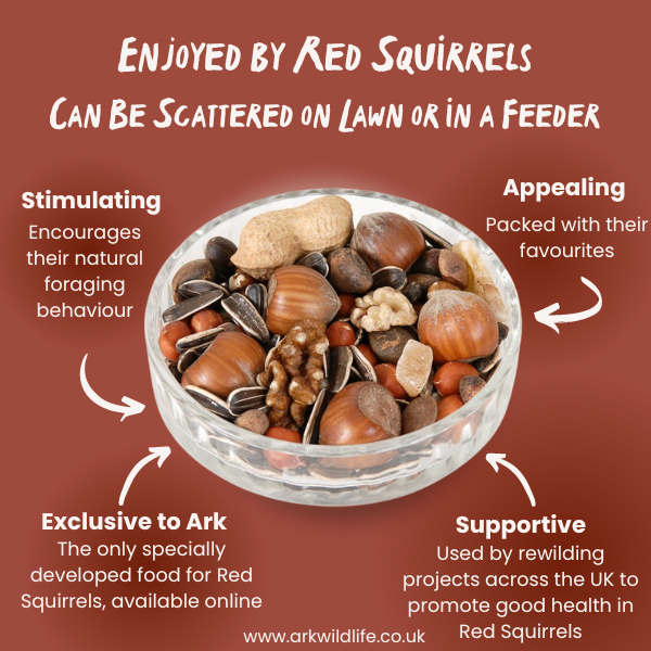 why buy red squirrel food