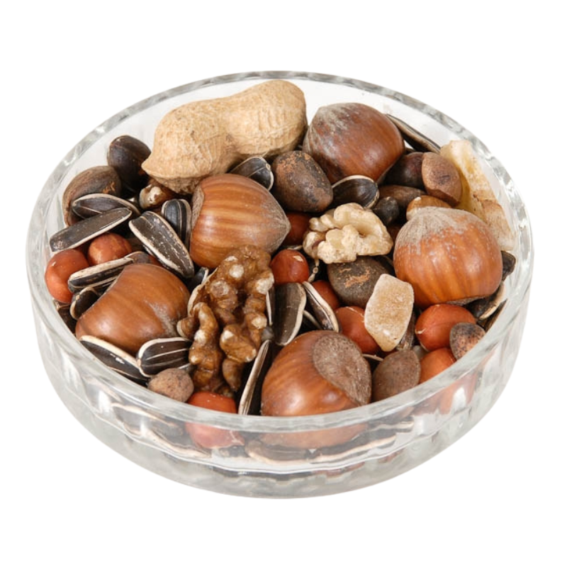 Ark Red Squirrel Food