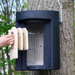 Schwegler 1FW Bat Hibernation Box; Inside a Schwegler 1FW Bat Hibernation Box; Inside a Schwegler 1FW Bat Hibernation Box; Schwegler 1FW Bat Hibernation Box