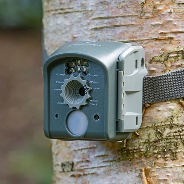 BirdCam;BirdCam for perspective;BirdCam interior;BirdCam image