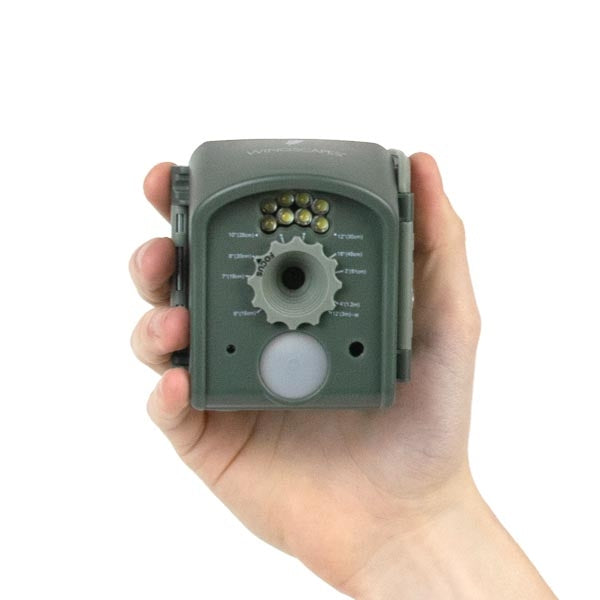 BirdCam;BirdCam for perspective;BirdCam interior;BirdCam image