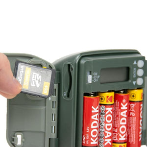 BirdCam;BirdCam for perspective;BirdCam interior;BirdCam image