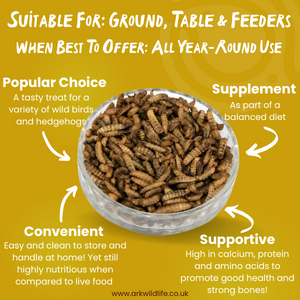 why buy calcium worms