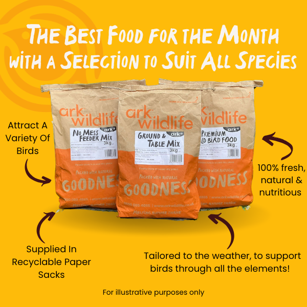 why buy ark bird food deal of the month