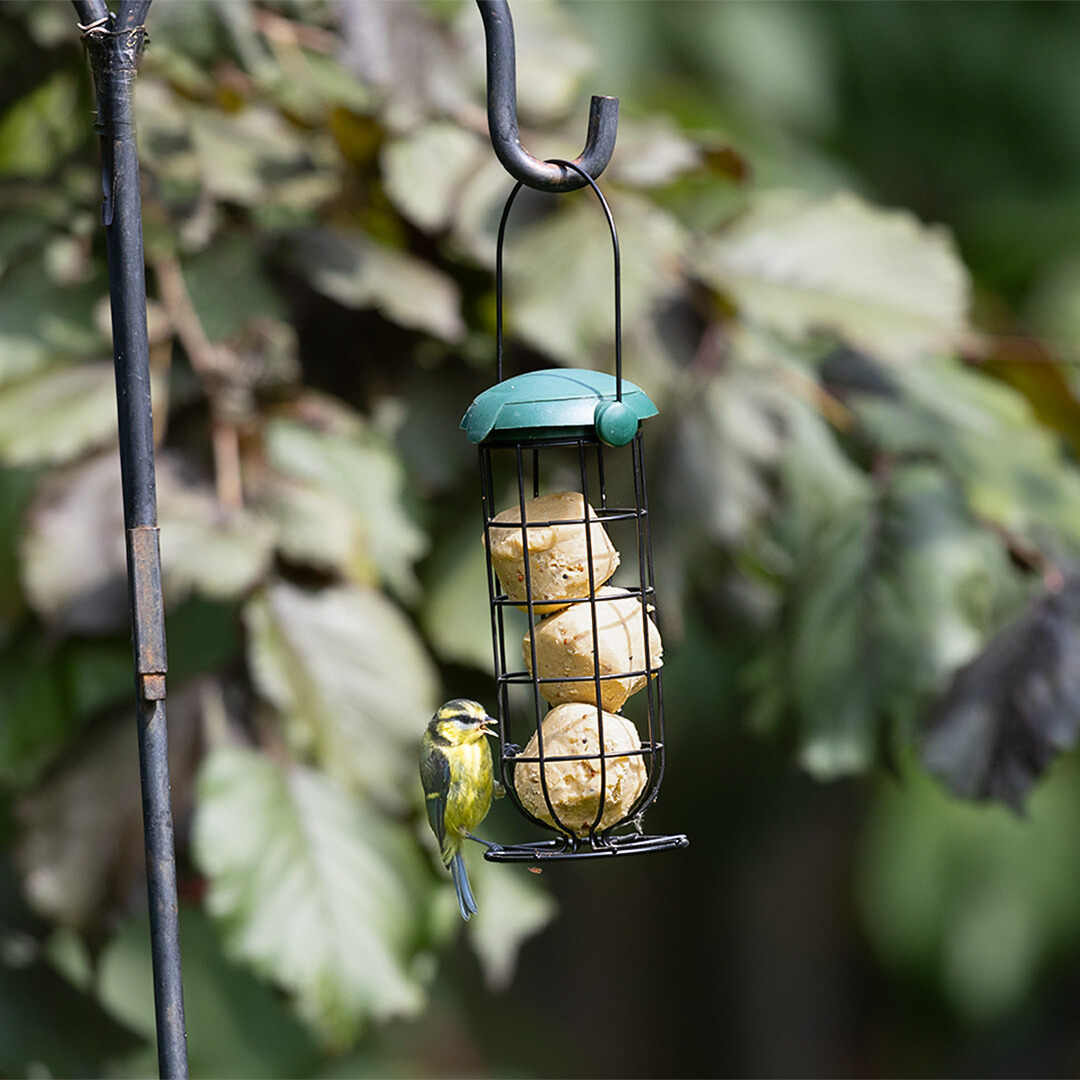 Ark Suet Balls with Sunflower Hearts