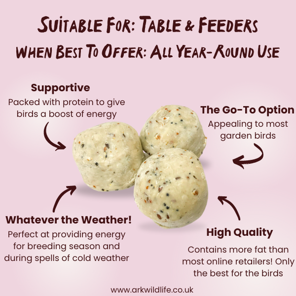 why buy suet balls