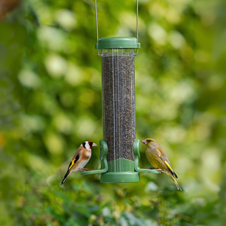 niger seed feeder with finches