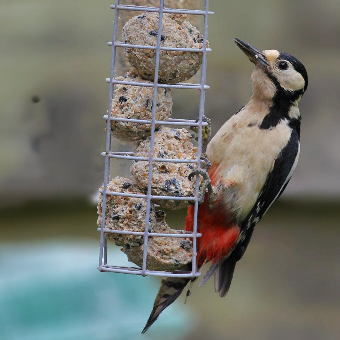 Ark Premium Fat Balls