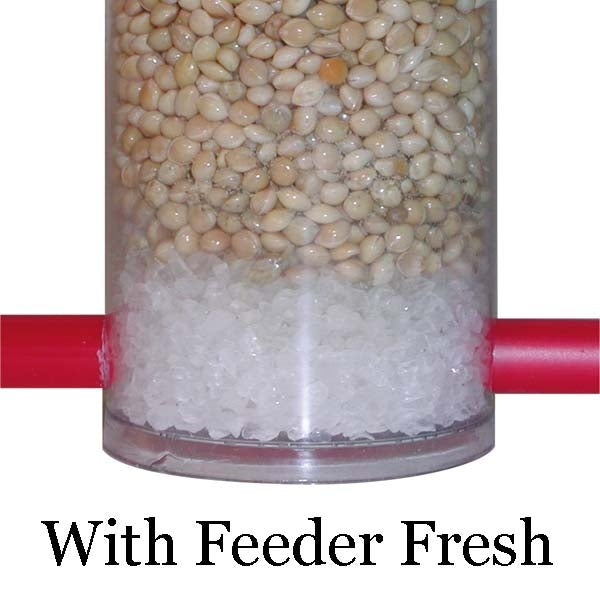 Feeder Fresh 250g; Feeder with feeder fresh; Feeder without feeder fresh, mould
