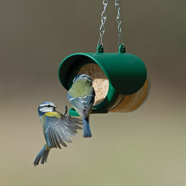 Flutter Butter Feeder; Flutter Butter Bird Feeder; blue tits on Flutter Butter Bird Feeder; Birds squabble over flutter butter