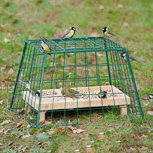 ground cage for birds
