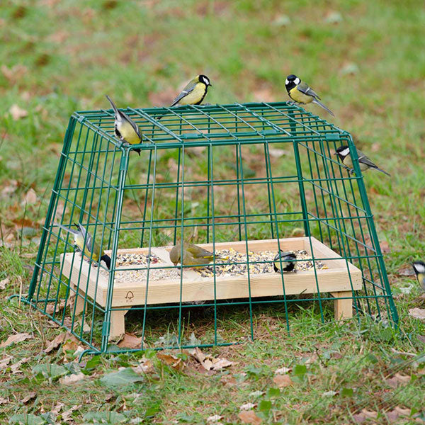 ground cage for birds
