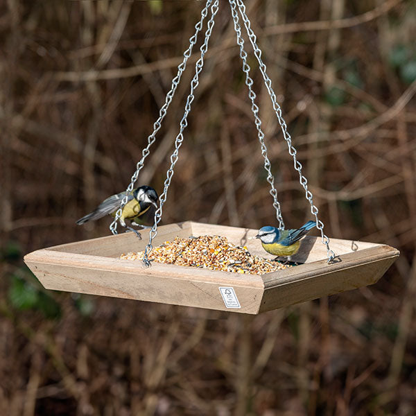 tits on a bird feeder