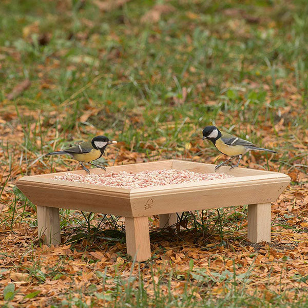 great tits on ground feeder