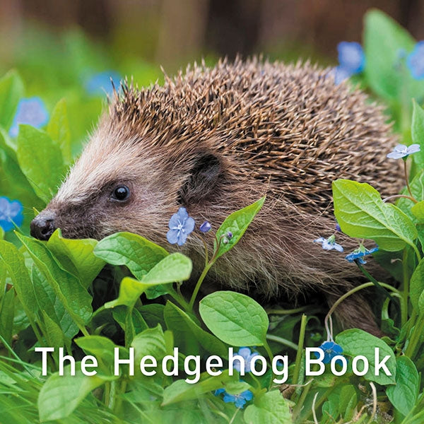 The Hedgehog Book