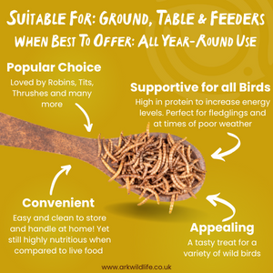 why buy dried mealworms