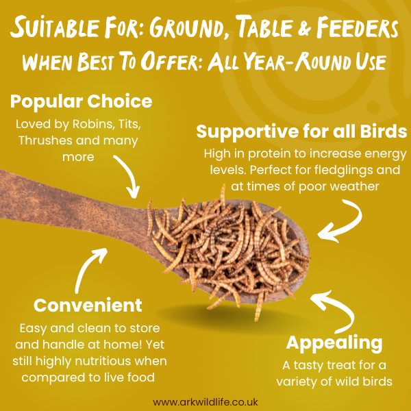 why buy dried mealworms