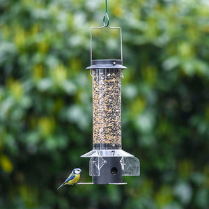 blue tit on bird feeder