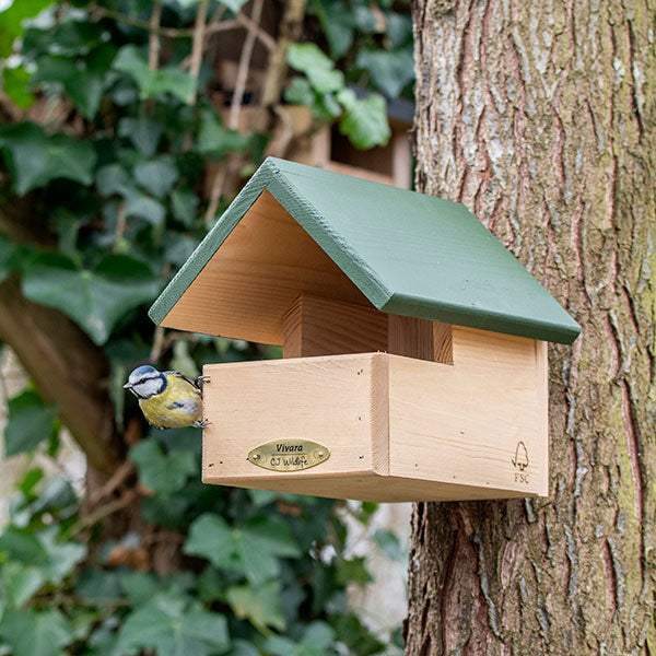 blue tit in nest box