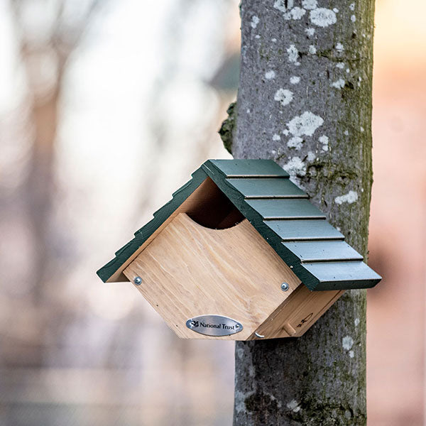 Robin nest box on tree
