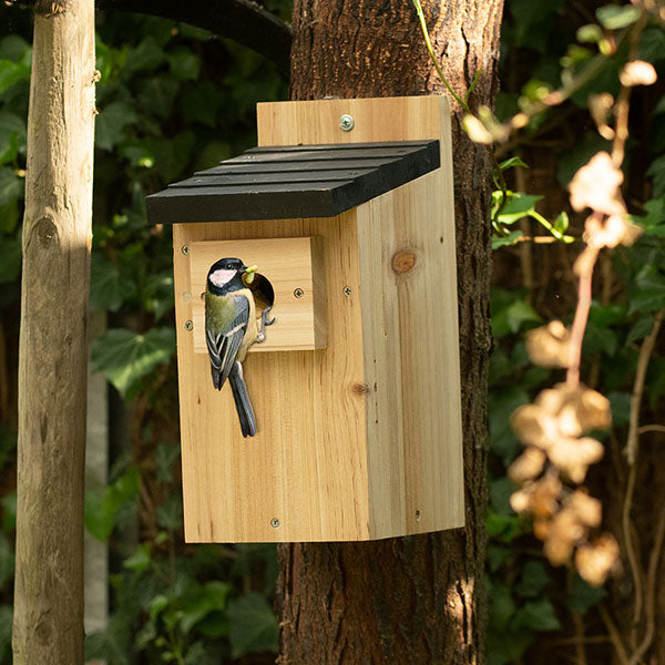 great tit nest box