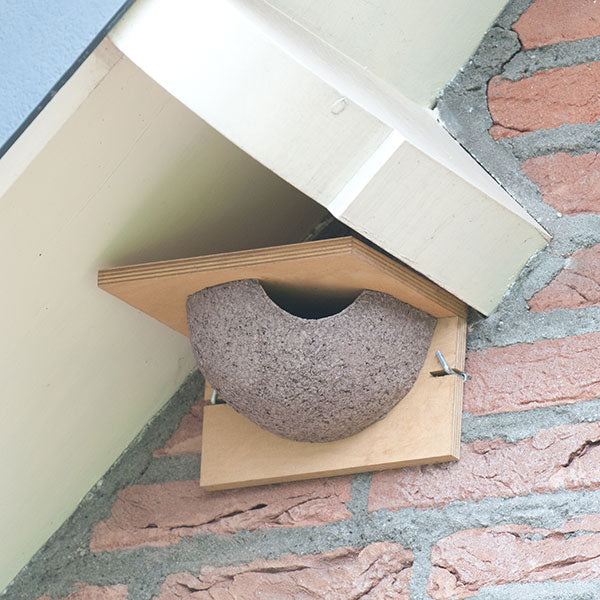 RIGHT FACING HOUSE MARTIN NEST BOWL