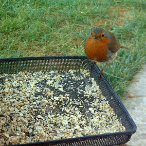 Rolled (Porridge) Oats;Robin feeding on Rolled (Porridge) Oats