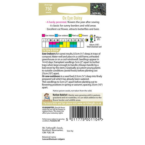 Ox Eye Daisy;Ox Eye Daisy Instructions