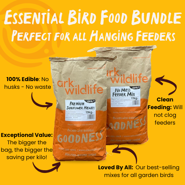 Bird food uk bird feeder