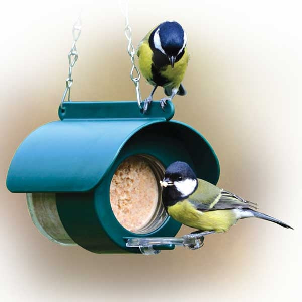 Flutter Butter for Birds - Fruity; Peanut Butter Feeder; Optional Flutter Butter Feeder