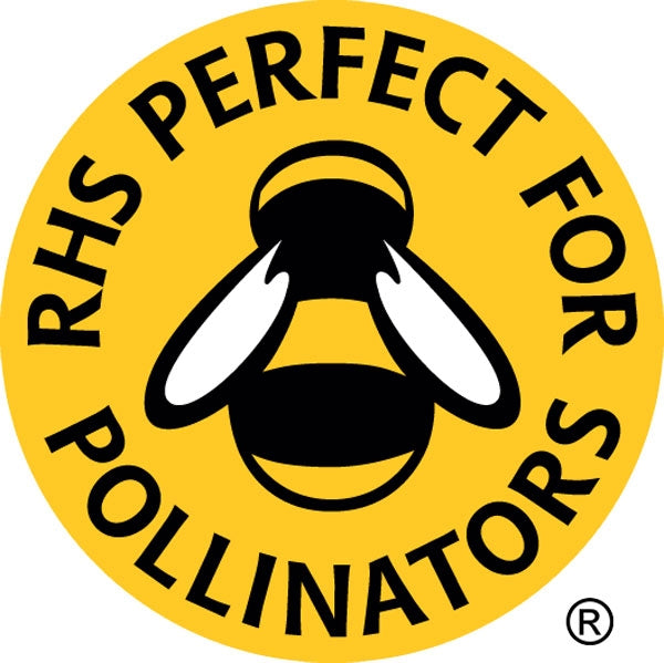 RHS Flowers for Bees;Perfect for Pollinators
