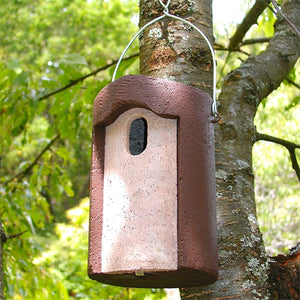 Schwegler 1B with oval entrance hole