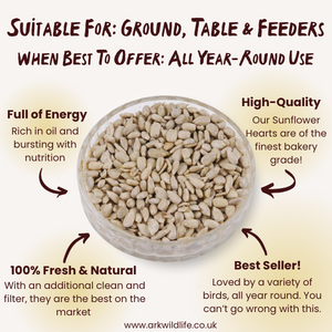 why buy sunflower hearts