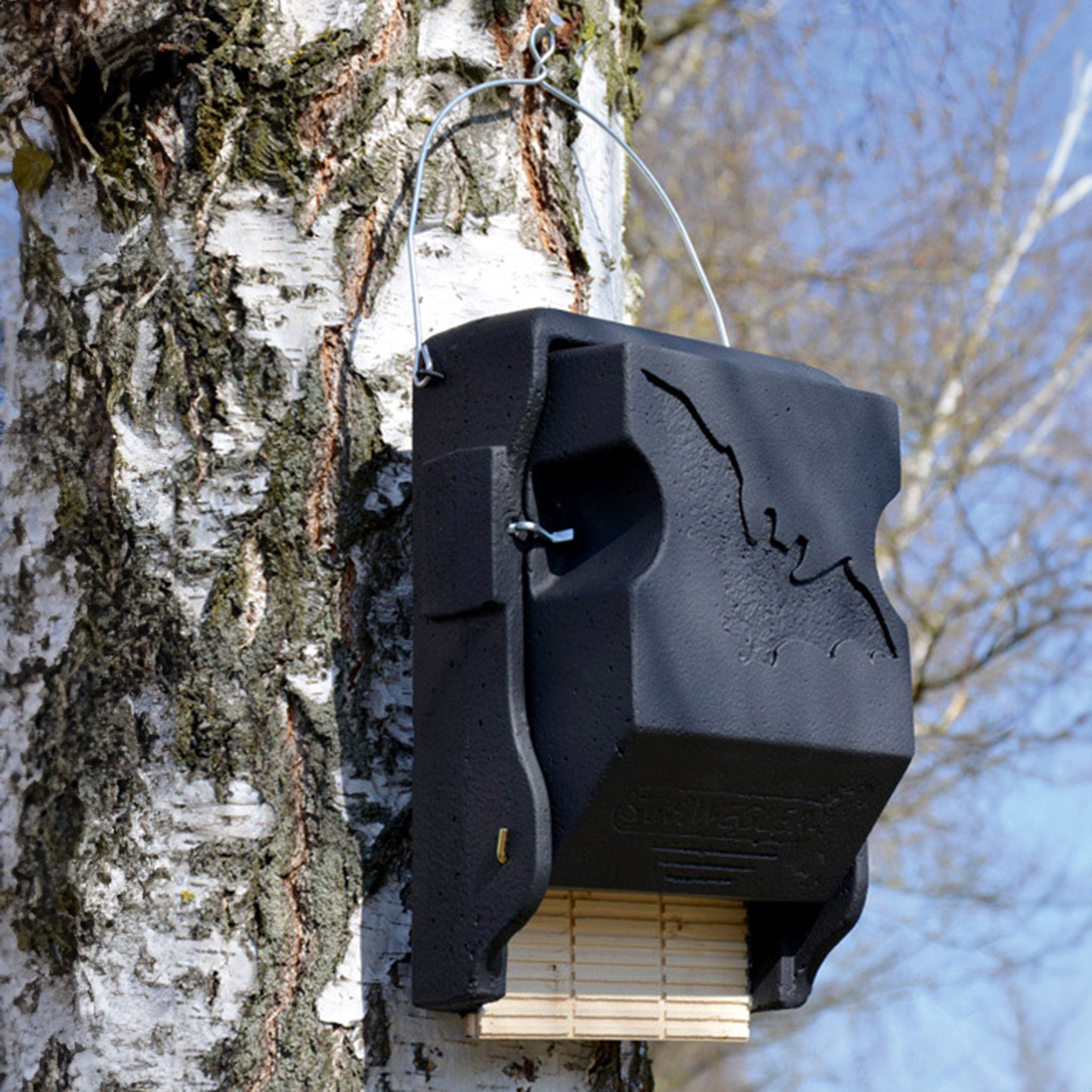 Schwegler 3FF bat box on tree