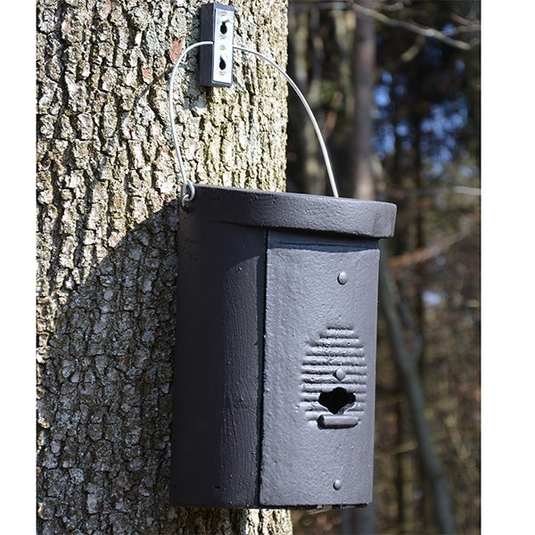 Schwegler 1FS Large Colony Bat Box; 1FS Bat Box Interior; Bats in Schwegler 1FS Large Colony Bat Box