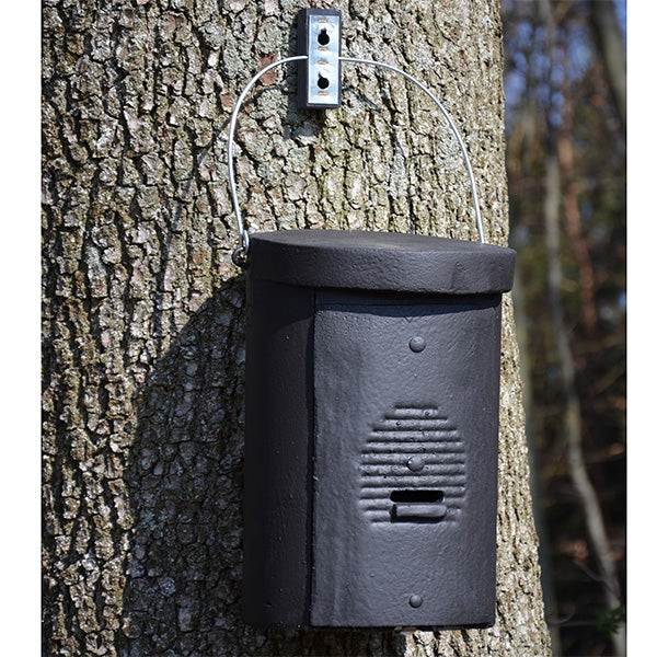 Schwegler 2FS Small Species Bat Box;2FS Bat Box Interior;2FS Bat Box;Bats in Schwegler 1FS Large Colony Bat Box