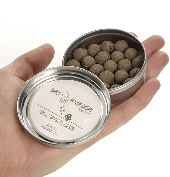 Seedballs Wildflower Seeds;Seedball germinating wildflowers;UK Wildflower Seeds;Wildflower Seeds from Seedball