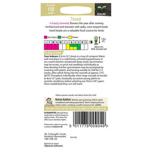 Teasel;Teasel Instructions