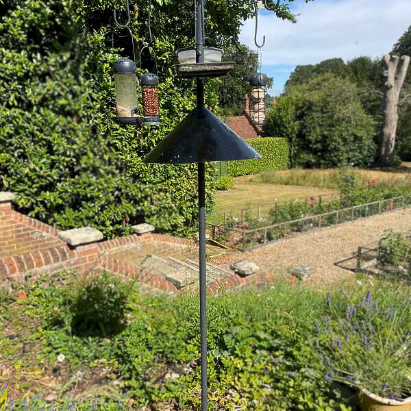 metal squirrel baffle bird pole