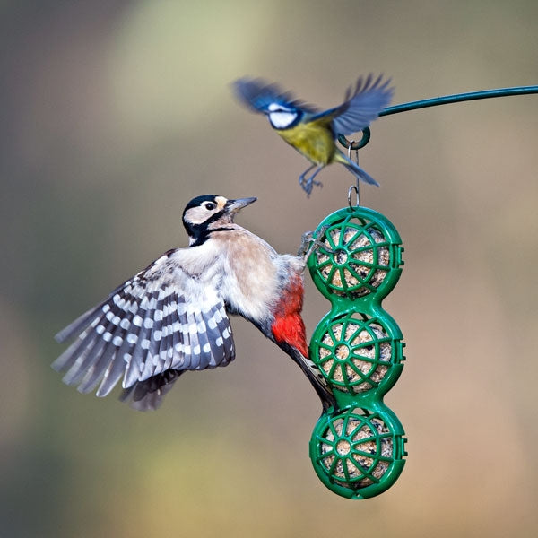 Hanging BasketBall Suet & Fat Ball Feeder; Jacobi Jayne BasketBall Hanging Suet Ball Feeder; BasketBall Suet Ball Bird Feeder; Jacobi Jayne BasketBall Suet Ball Feeder