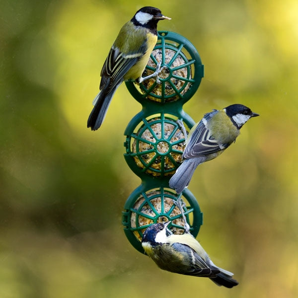 Jacobi Jayne BasketBall Window Feeder; BasketBall Fat & Suet Window Feeder; BasketBall Window Feeder