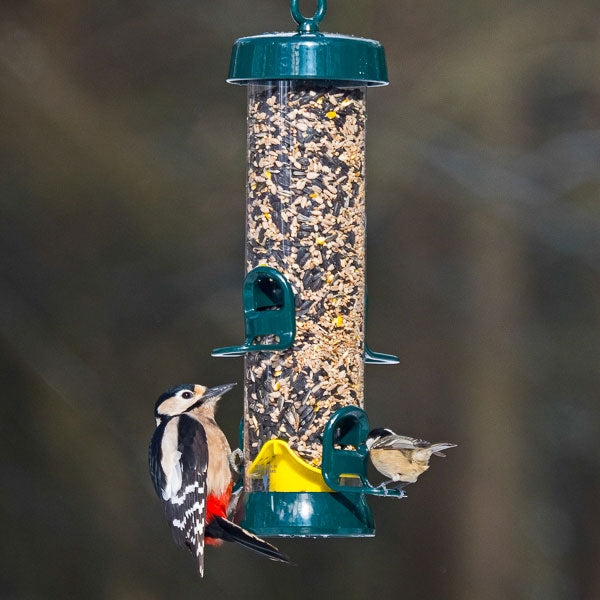 Big Easy Bird Seed Feeders; Woodpecker on Big Easy Bird Feeder; Easy Clean Big Easy Bird Feeder; Standard Big Easy Bird Seed Feeder